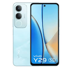 Vivo Y29
