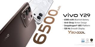 Vivo Y29